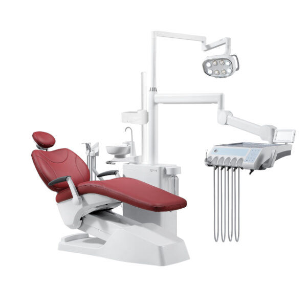 Affordable Luxury Model S9