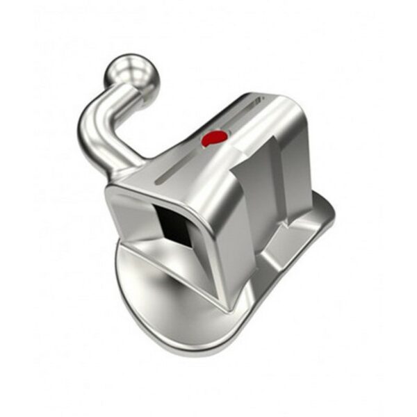 Tubes Queen 2 ème molaire